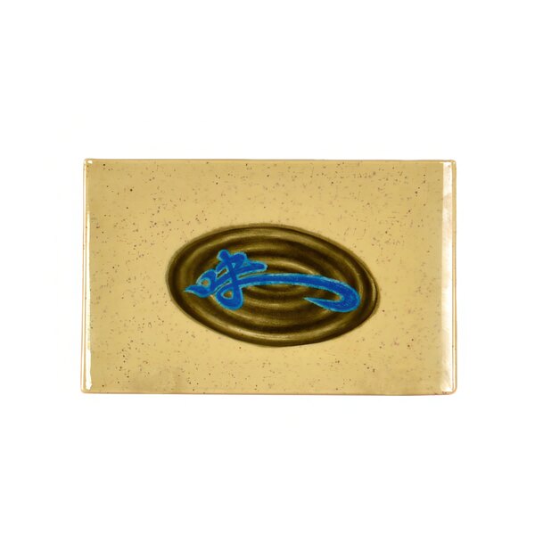 A rectangular object with a blue design on it.