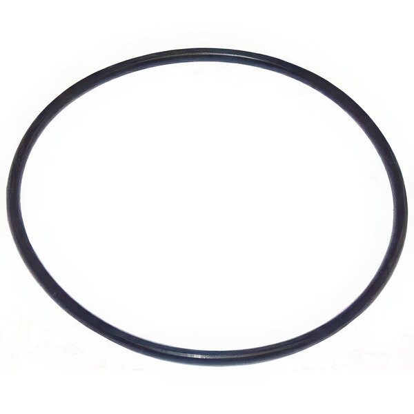 A black rubber O-ring with a white background.