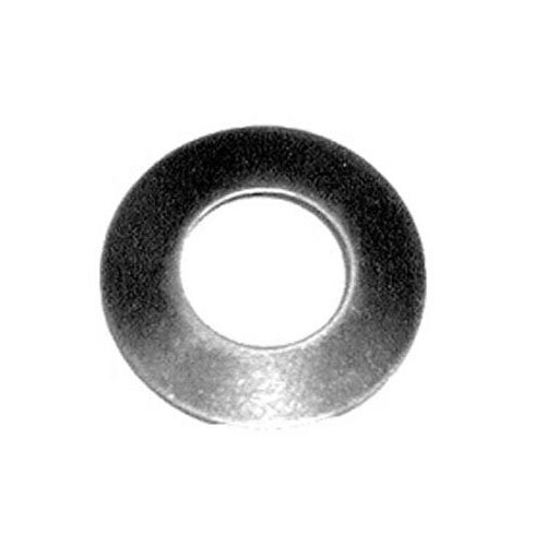 A metal washer with a black ring.