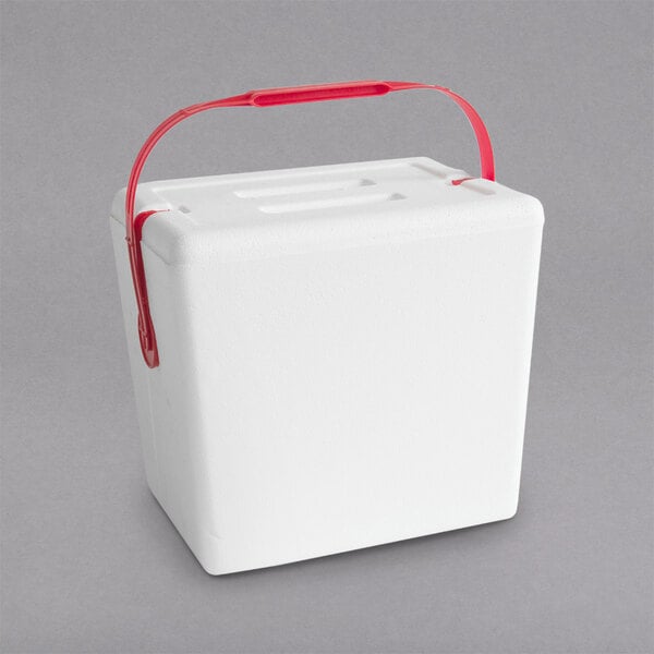 Small Foam Cooler w/ Handle - Holds (10 