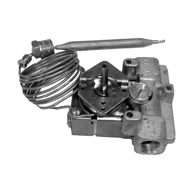 A GS All Points thermostat with a 60" capillary and wire.