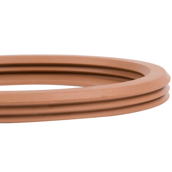 A close-up of a brown rubber circle, the Cornelius S6600 bowl gasket.