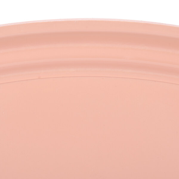 A close up of a dark peach oval plastic tray with a white border.