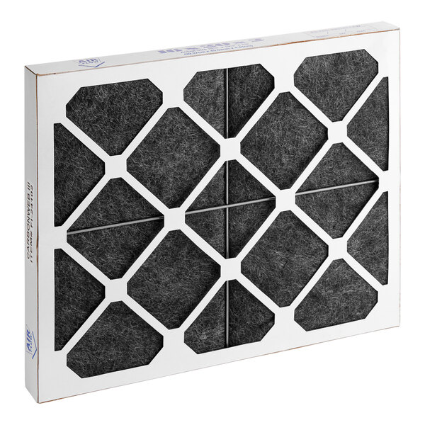 An Alto Shaam Odor Guard III replacement filter in a box with black and white accents.