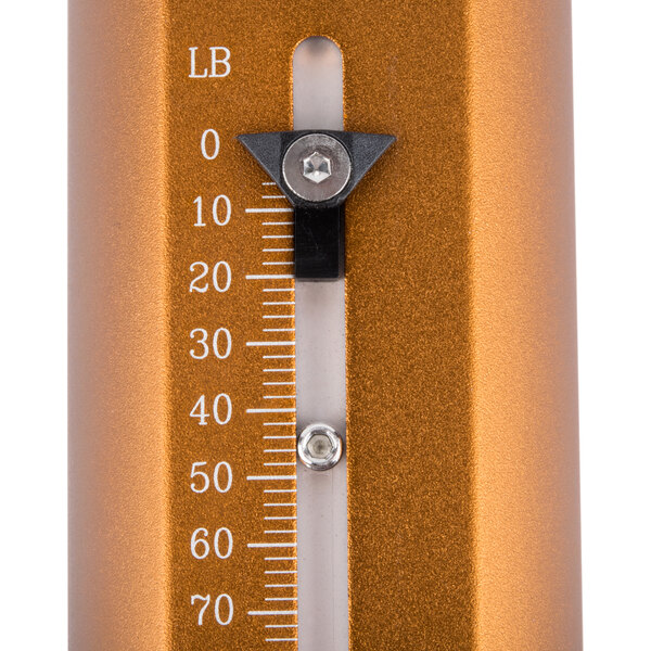 Weston 140308W 150 lb. Spring Scale