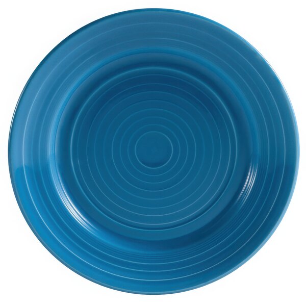 A blue plate with a peacock feather pattern in a circle.