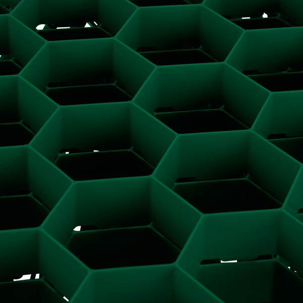 A green plastic container with hexagons inside.