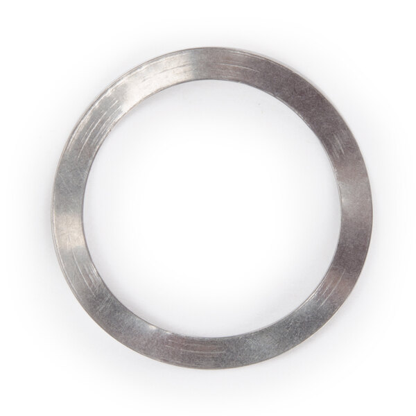A silver circular spring washer.