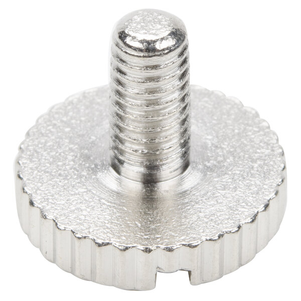 A close-up of a silver screw.