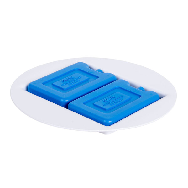 A blue Cal-Mil container with two blue ice packs inside.