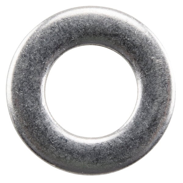 A close-up of a stainless steel flat washer with a metal ring.