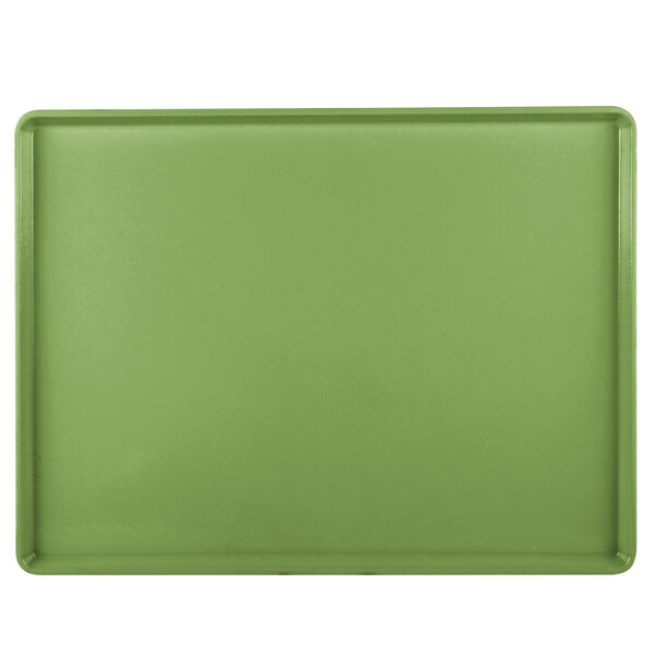 a green rectangular object with a white border