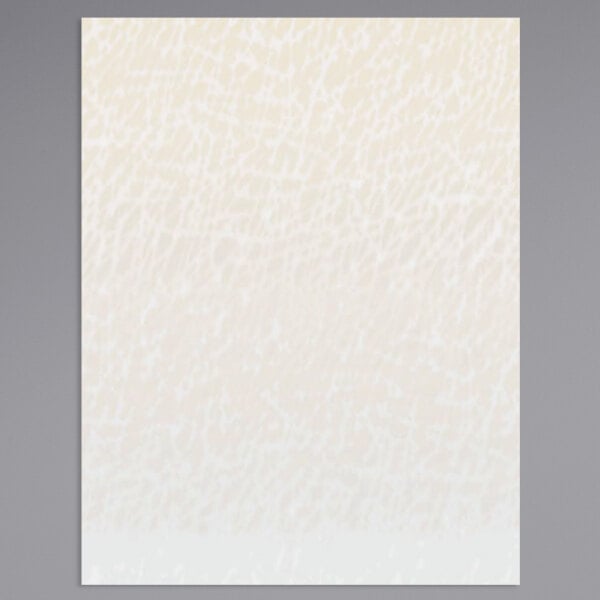 Menu paper with a white surface and a Southwest themed desert design in beige.