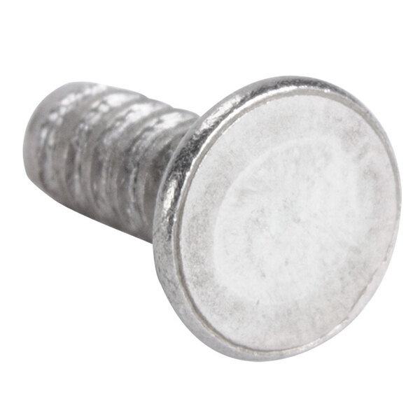 A close-up of a silver rivet.