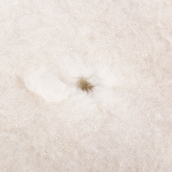 White bottom insulation for a Waring panini grill.