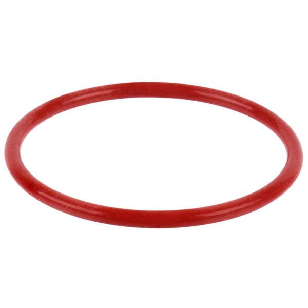A red rubber O-ring with a white background.