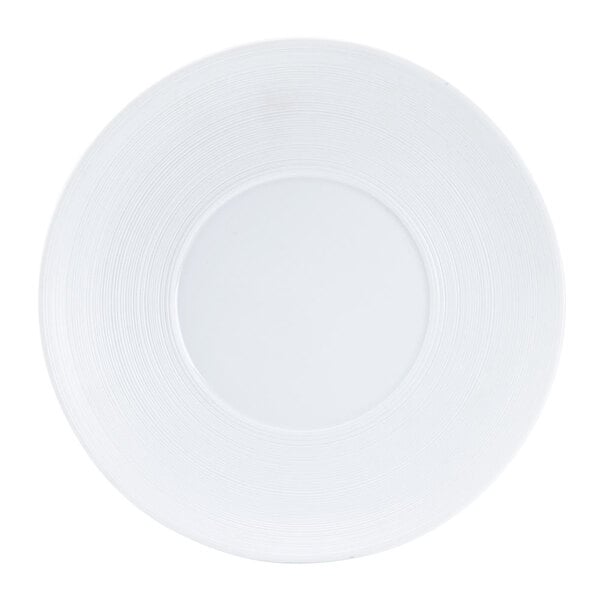 A close up of a CAC porcelain plate with a bright white rim.