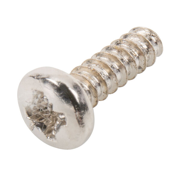 A close-up of a silver screw.