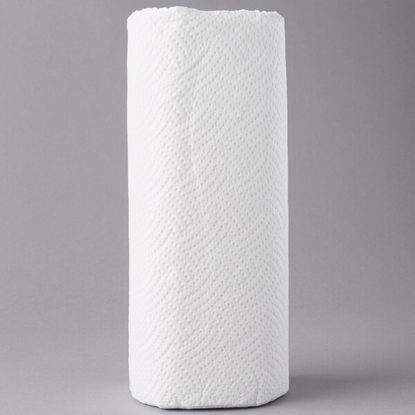 Elegant 2Ply Paper Towel Roll 30/Case