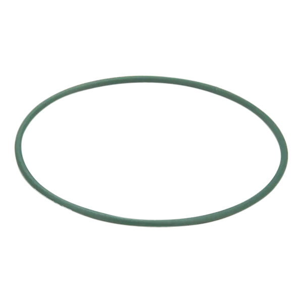 A green rubber o-ring with a white background.
