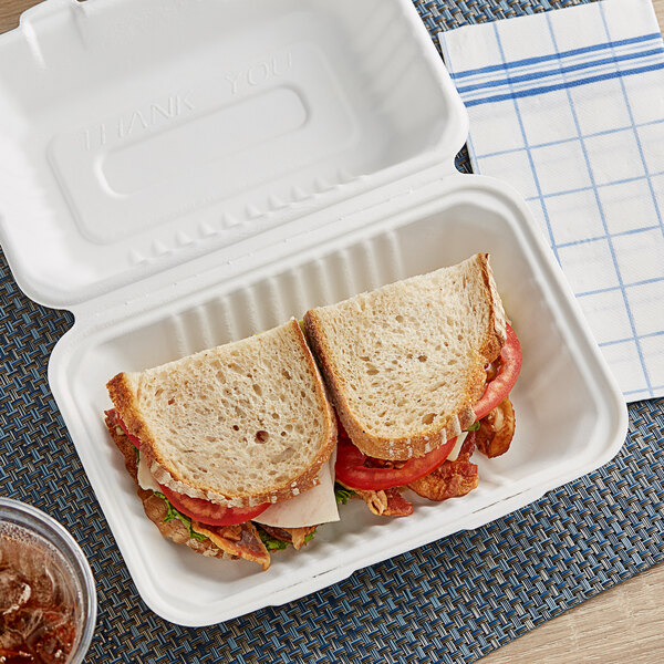 9" x 6" Biodegradable Compostable Bagasse Lunch Box Pack of 125 