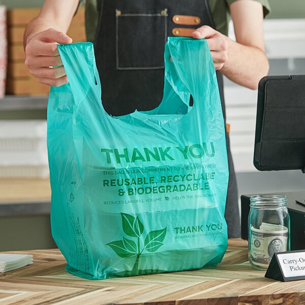 Eco-Friendly Plastic T-Shirt Bags (500/Case)