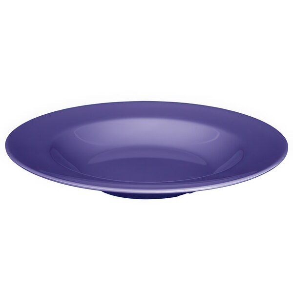 A purple melamine bowl with a white background.