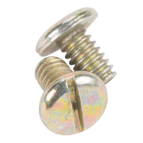 A close-up of two screws with a metal head.