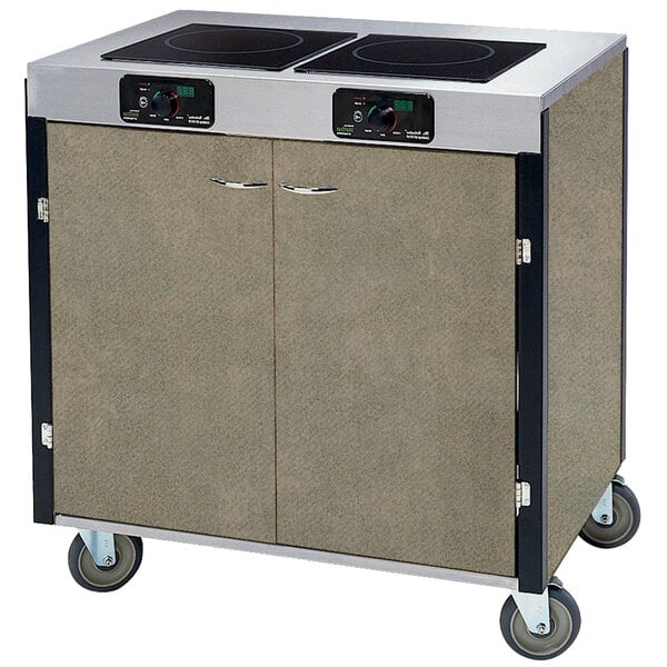 A large metal cart with two induction burners on a counter.