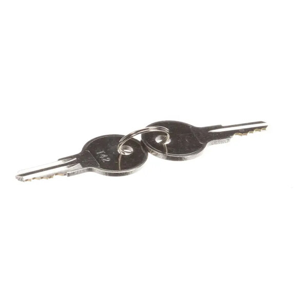 True 980887 Replacement Key Set