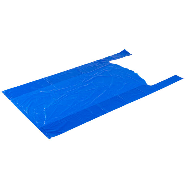400 - Extra-Large, 18Wx8Dx32H, Blue, Bags
