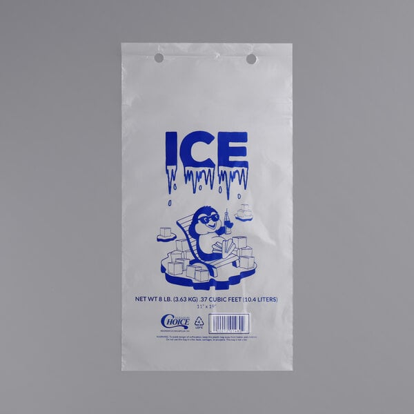 Large Ice Bag - Fiesta Mundo Egypt Giveaways