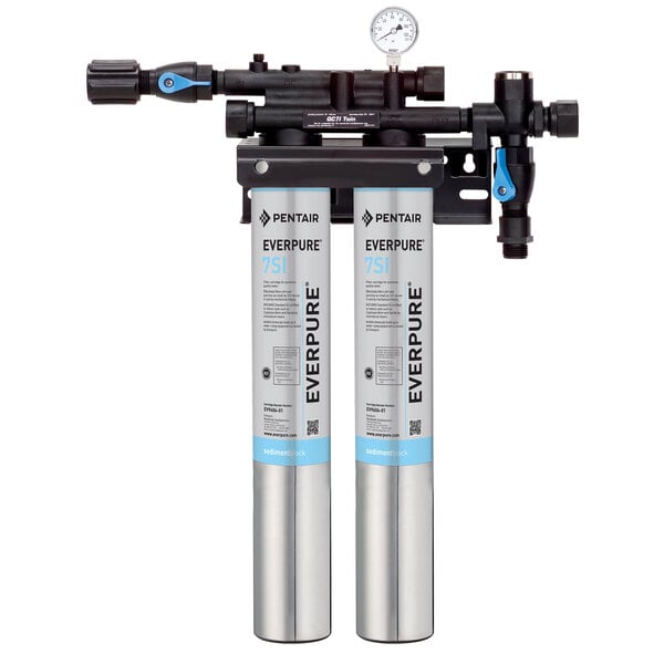 The Everpure Insurice Twin Water Filtration System with blue and black gauges.