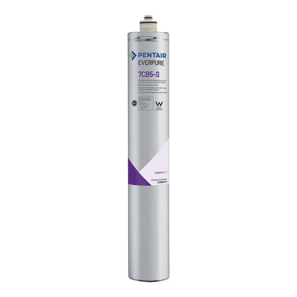 An Everpure water filter cartridge with a silver and purple label.