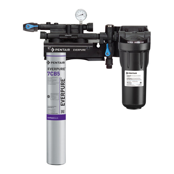 A black and silver Everpure Kleensteam II water filtration system with a gauge.