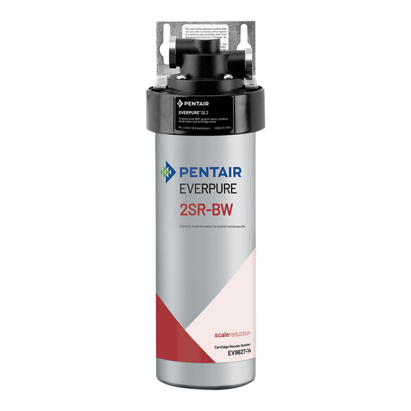 An Everpure Endurance scale inhibitor system with a silver can and red and blue text.