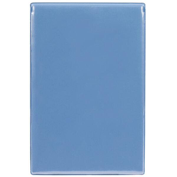 A blue rectangular object with white panels and a clip.