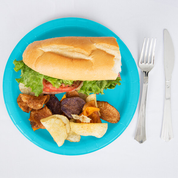 A Creative Converting Bermuda blue paper plate with a sandwich and potato chips.