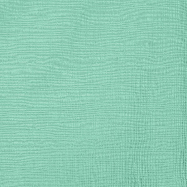 Creative Converting 318902 82" Fresh Mint Green OctyRound Tissue / Poly