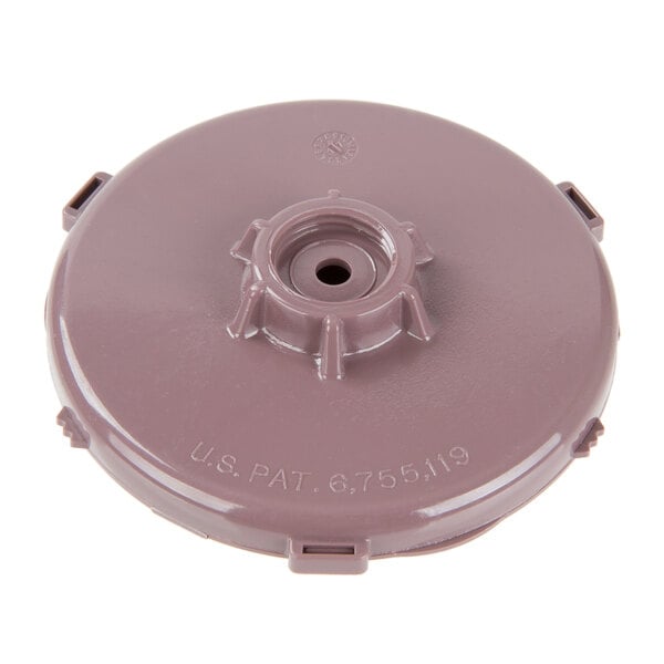 A round purple plastic sprayhead with 21 holes.