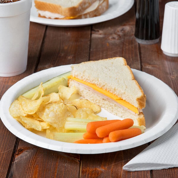 A Bare by Solo heavy weight paper plate with a sandwich, chips, and carrot on it.