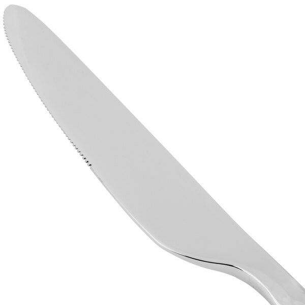A close-up of a 10 Strawberry Street stainless steel dinner knife with a silver handle.
