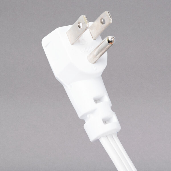 The white plug with two silver ends on a Curtron PEST PRO 150 insect trap wall sconce.