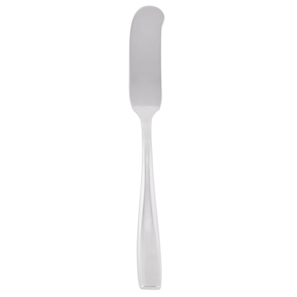 A silver butter spreader with a flat handle on a white background.