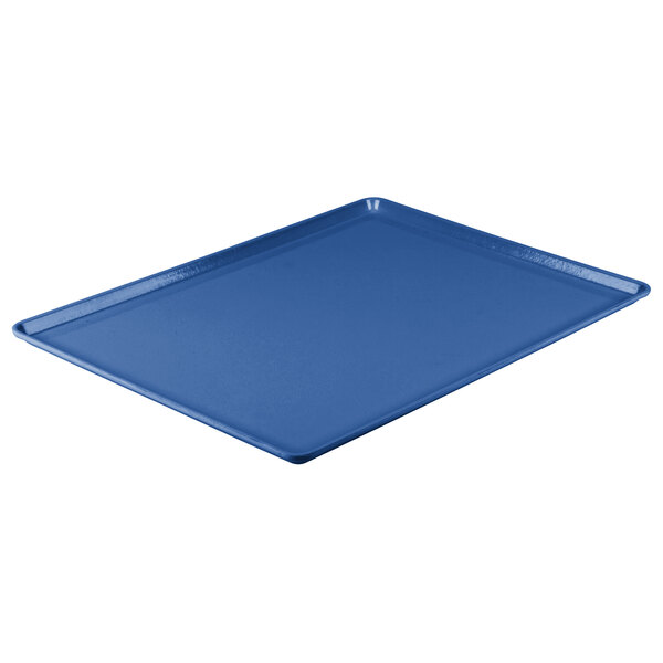 a blue rectangular tray on a white background