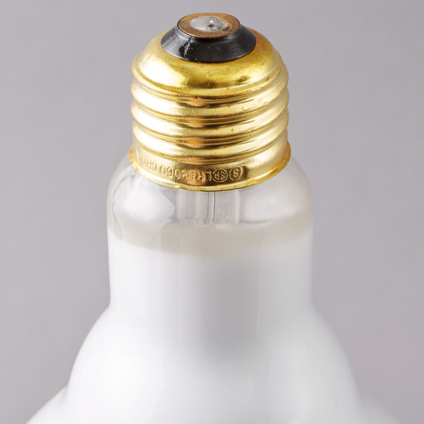 Satco S3408 65 Watt Frosted Incandescent Flood Lamp General Service