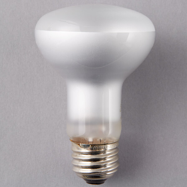 A Satco 45 watt frosted halogen flood light bulb.