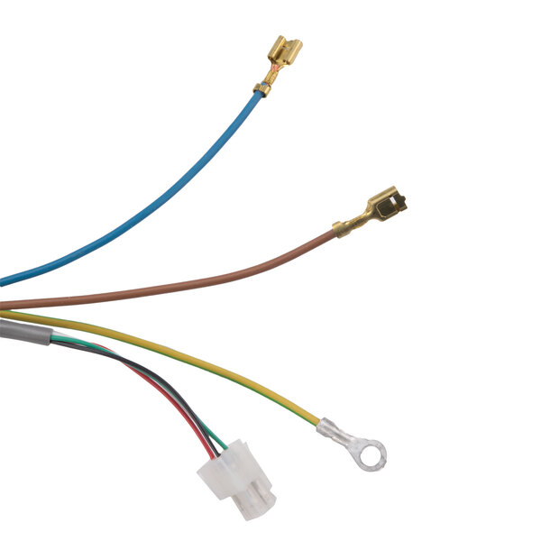 A close-up of a Manitowoc iBAuCS wire connector with several colored wires and terminals.
