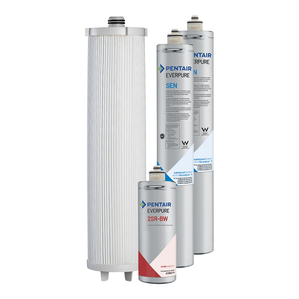 An Everpure water filter kit with two white cylinders with black stripes and red and blue labels.