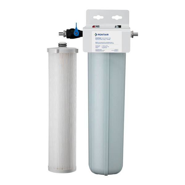 A white box with a black and white label for an Everpure Endurance water filter system.